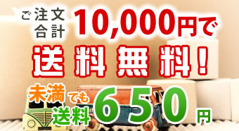 １００００円以上で送料無料！未満でも送料650円！