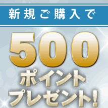 新規購入で500ポイント進呈