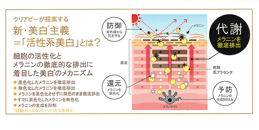 新・美白主義とは