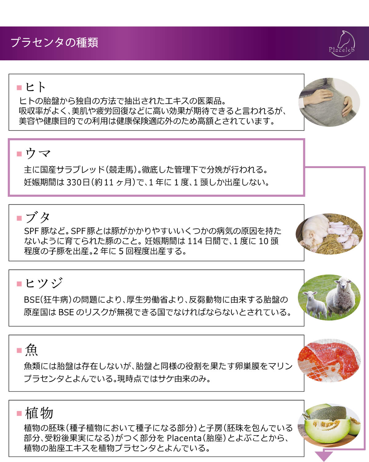 プラセンタの種類