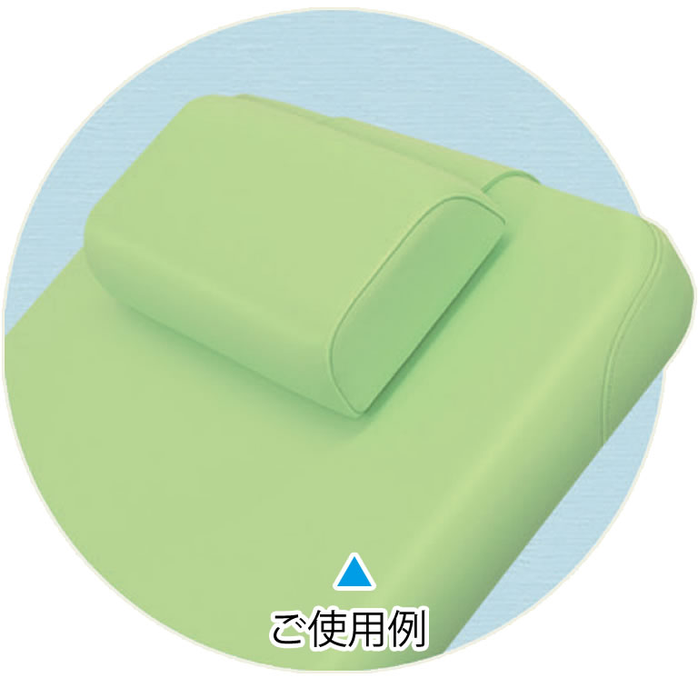 ご使用例