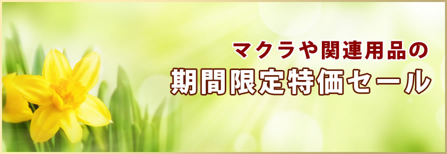 マクラや関連用品の期間限定特価セール