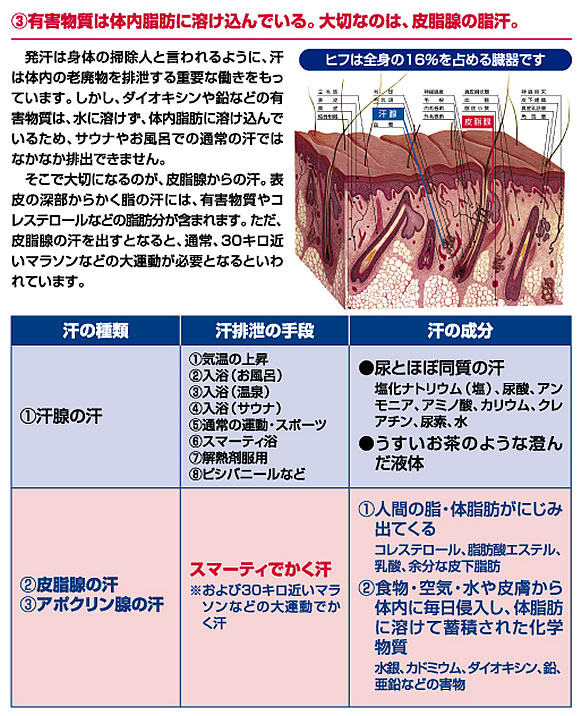 有害物質は体内脂肪に溶け込んでます