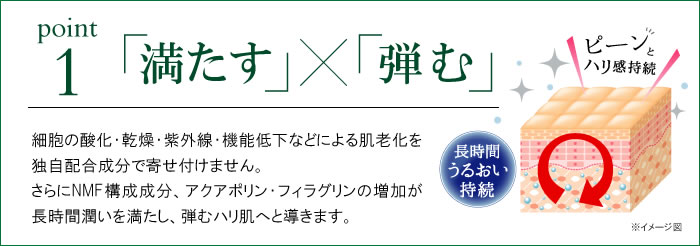 満たす欠ける弾む　肌老化を独自配合成分で寄せ付けません。