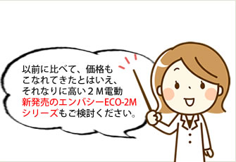 以前に比べて、価格もこなれてきたとはいえそれなりに高い２Ｍ電動