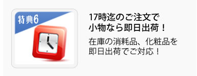 １７時迄のご注文で小物なら即日出荷