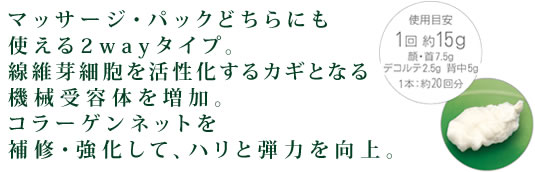 商品説明とテクスチャ画像