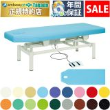 【1月30日迄期間限定】電動フェリー