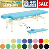 【1月28日迄期間限定】電動フェスタ