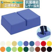TB-1702 足踏みマット