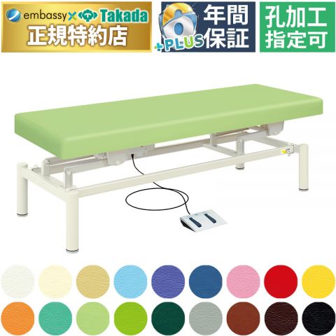 TB-806 電動ＨＳベッド